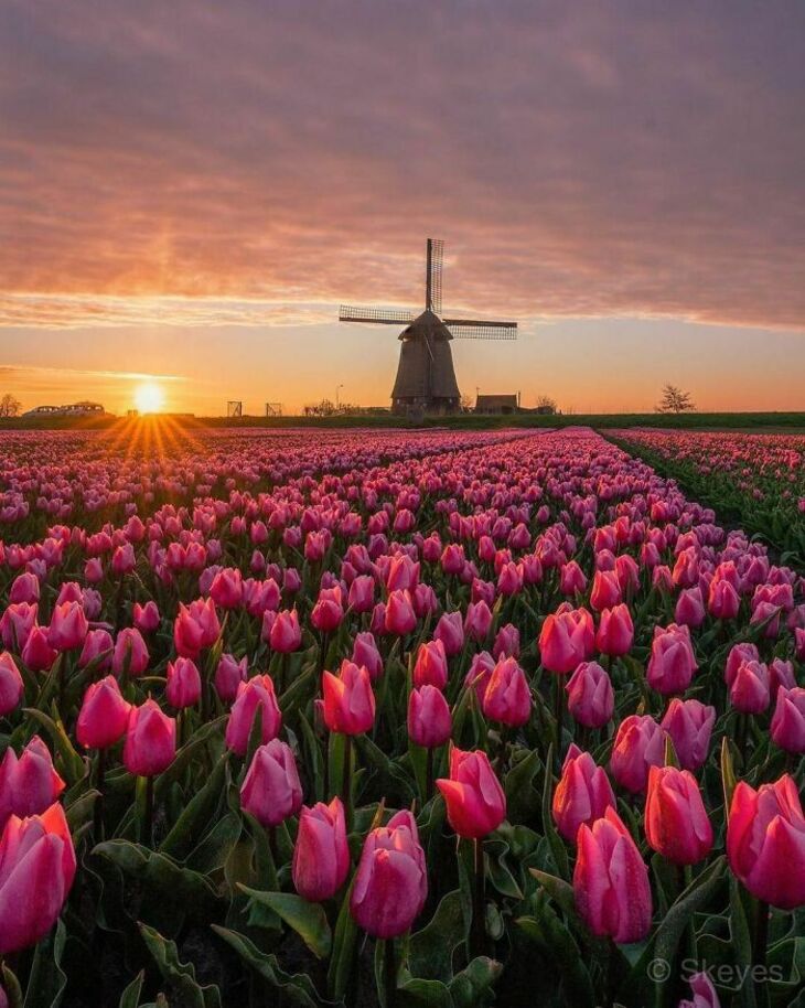 Photos Showcase the True Beauty of the Netherlands