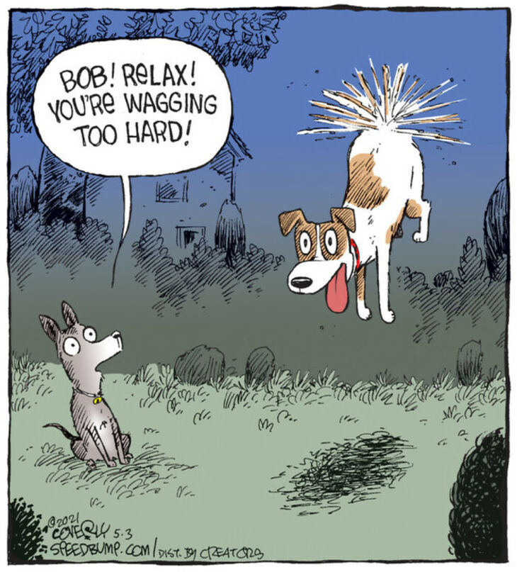 Hilarious Cartoons Featuring Animals