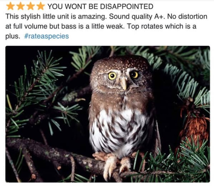 Zoo Reviews of Animals 