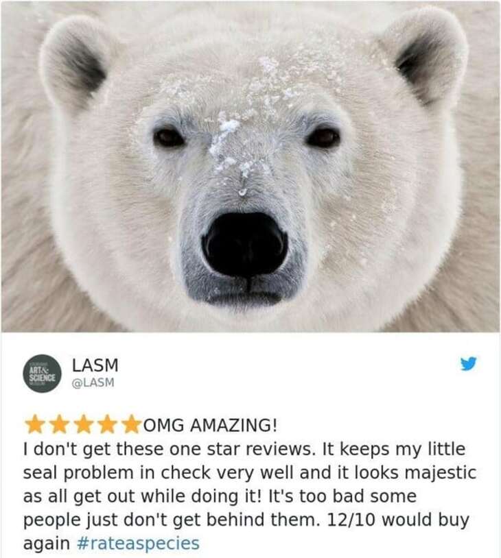 Zoo Reviews of Animals 
