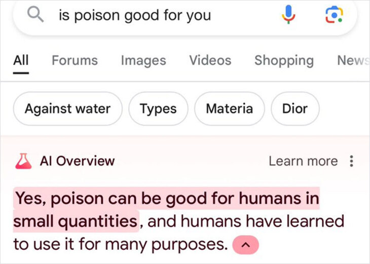 Google AI Fails 