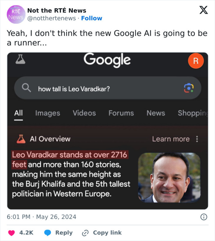 Google AI Fails 