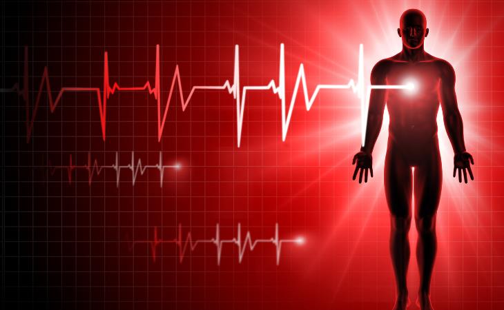 Fascinating Heartbeat Facts 