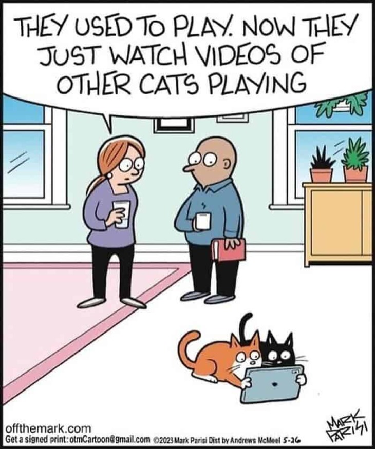  Cartoons About Cats 