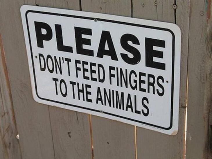 Zoo Signs!