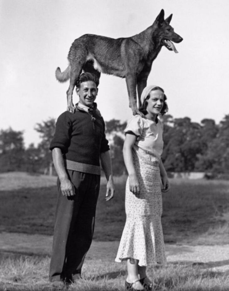  Cute & Funny Vintage Photos of People and Their Pets