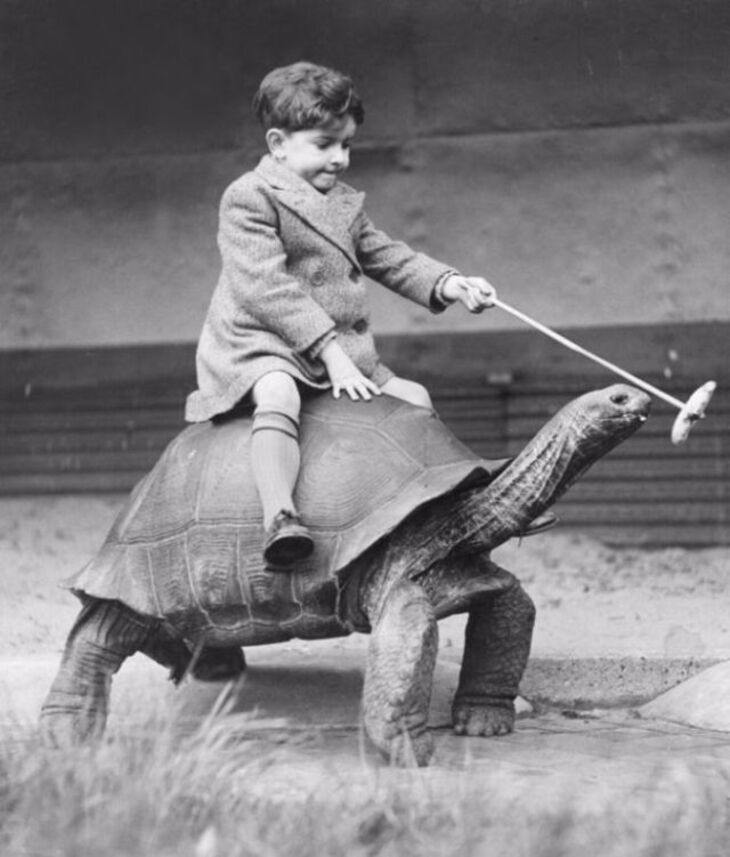  Cute & Funny Vintage Photos of People and Their Pets