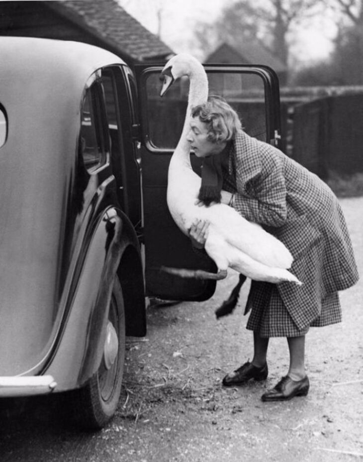  Cute & Funny Vintage Photos of People and Their Pets