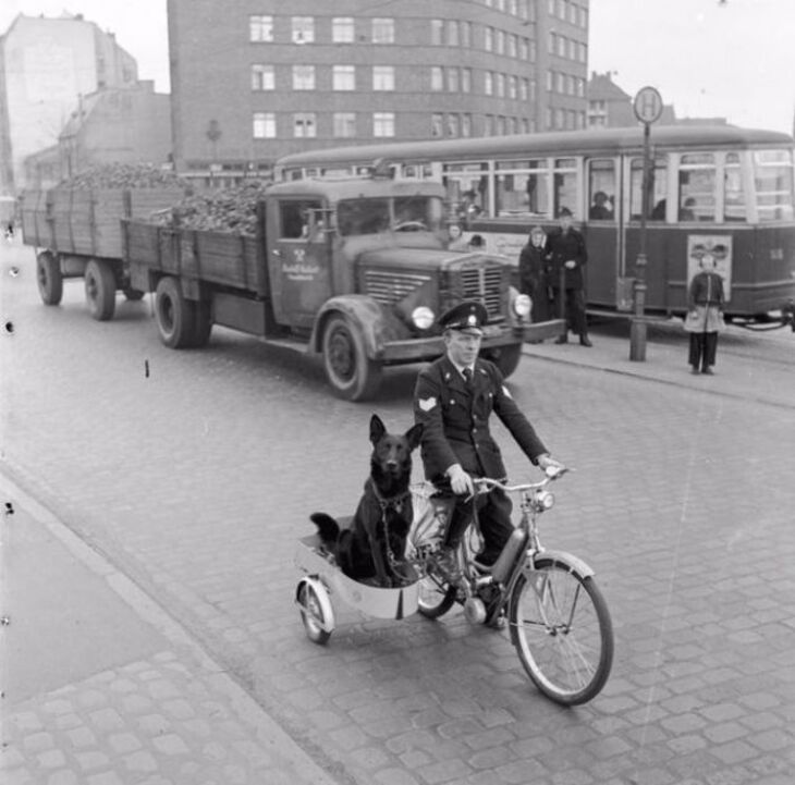  Cute & Funny Vintage Photos of People and Their Pets