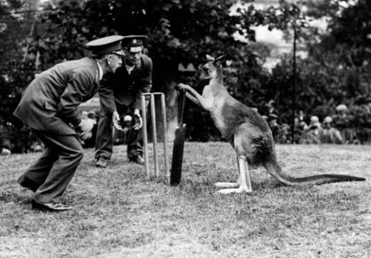  Cute & Funny Vintage Photos of People and Their Pets