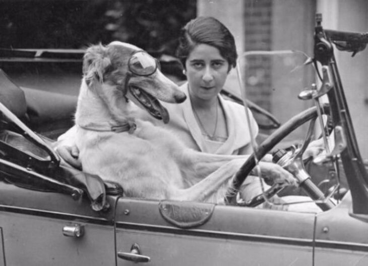  Cute & Funny Vintage Photos of People and Their Pets