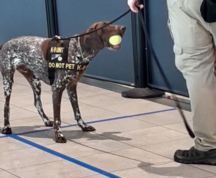 Weirdest Things Spotted in Airports