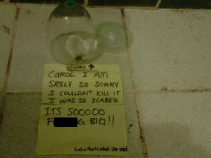 Hilarious Apology Notes