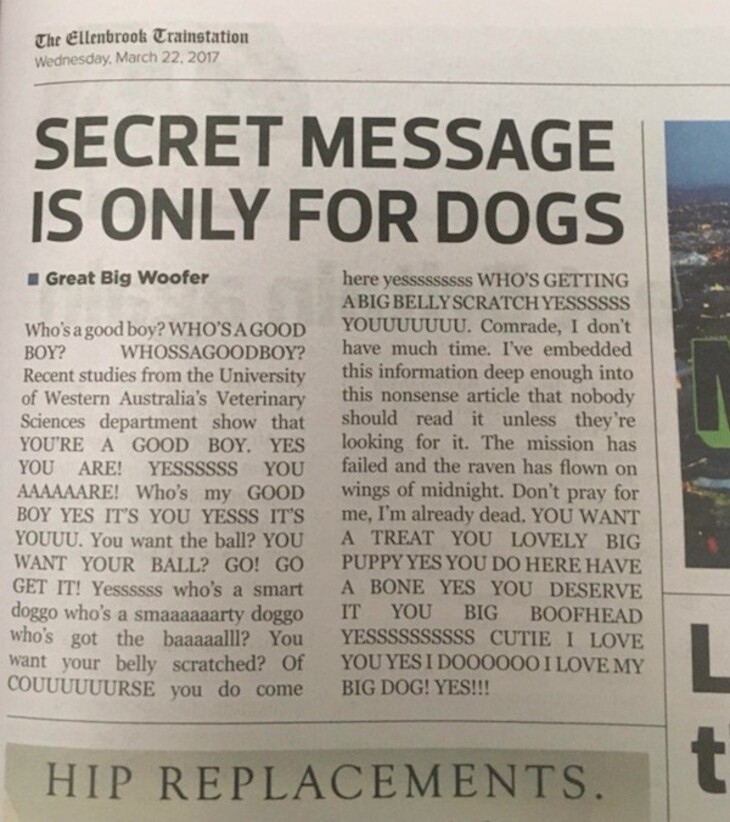 Ridiculous News Stories from Papers