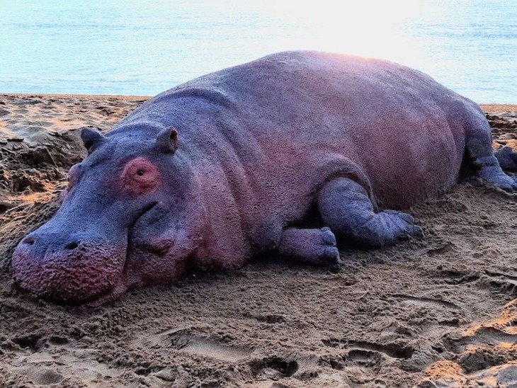 Incredibly Realistic Animal Sand Sculptures 