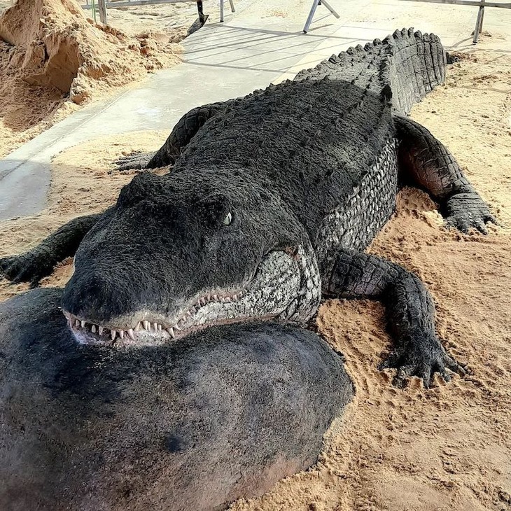 Incredibly Realistic Animal Sand Sculptures 