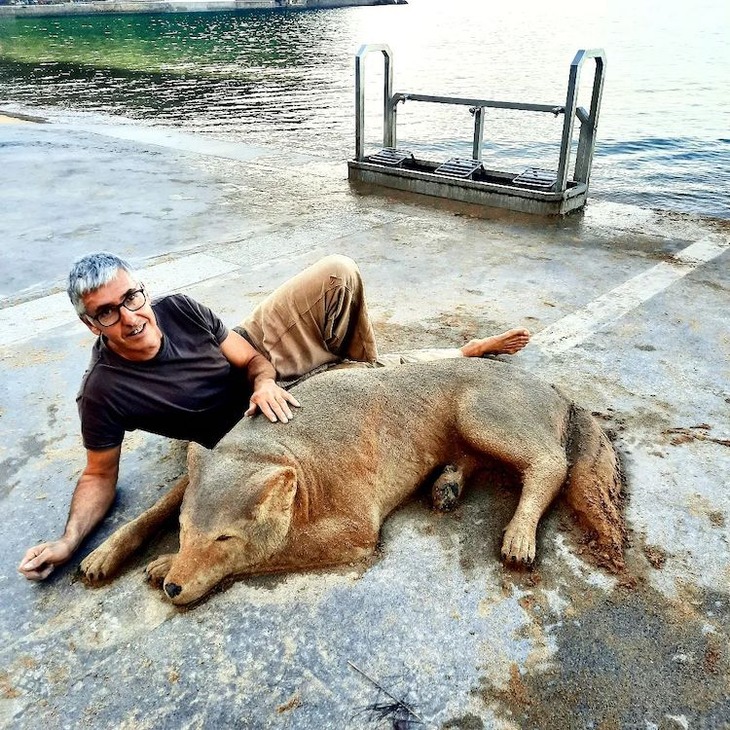 Incredibly Realistic Animal Sand Sculptures 