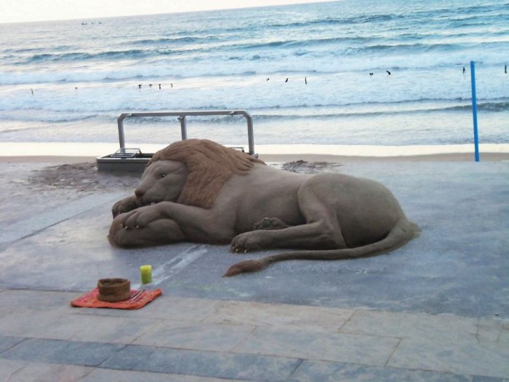 Incredibly Realistic Animal Sand Sculptures 