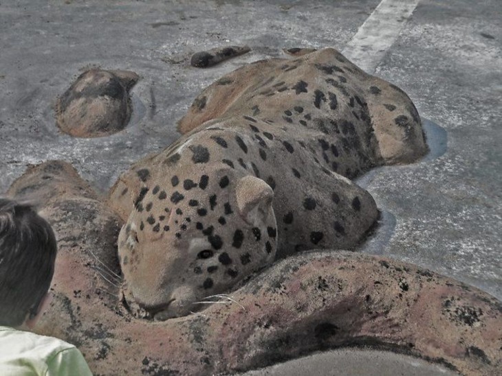 Incredibly Realistic Animal Sand Sculptures 