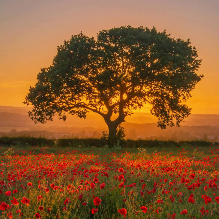 10º Prêmio de Paisagem Escocesa