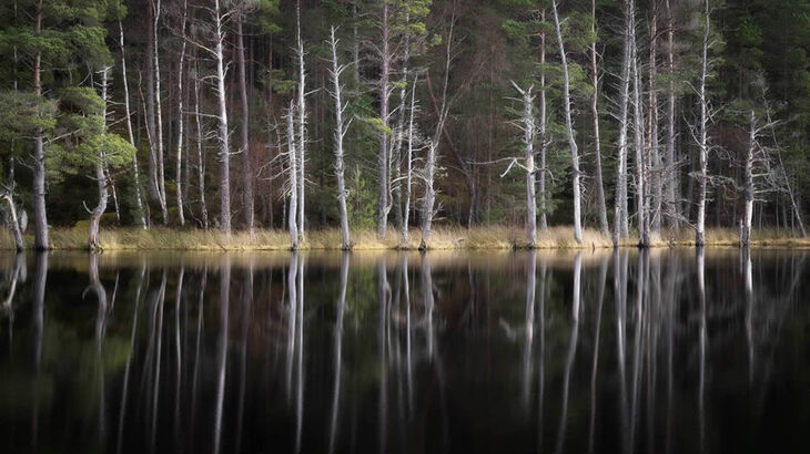  10th Scottish Landscape Awards