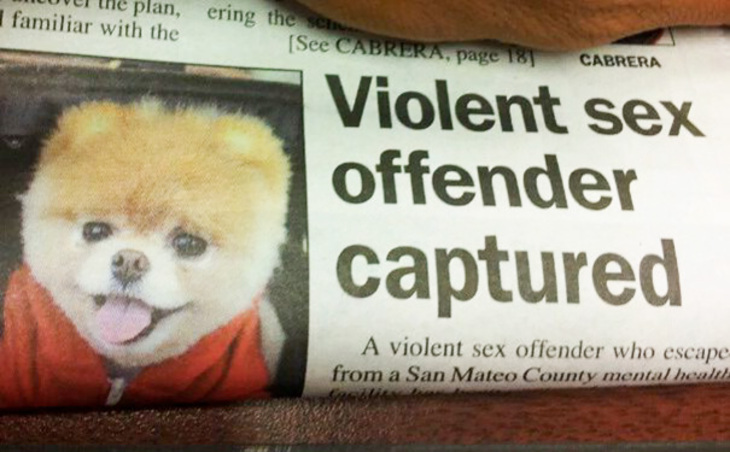 Hilarious Newspaper Blunders 