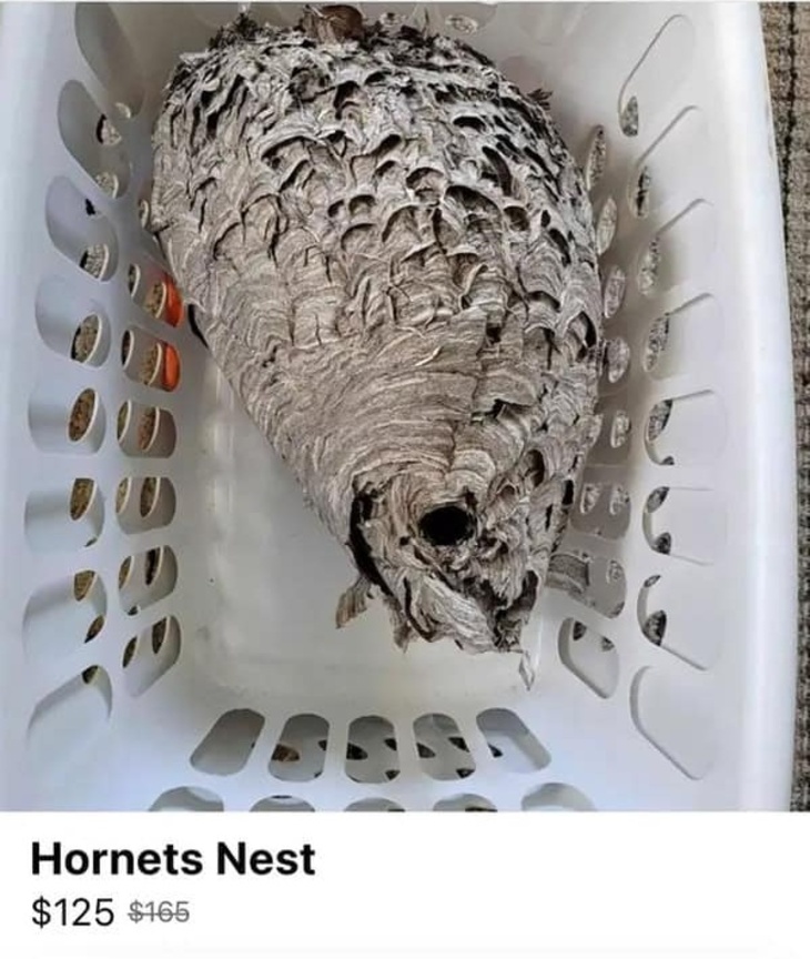 Web's Wackiest Online Sales 