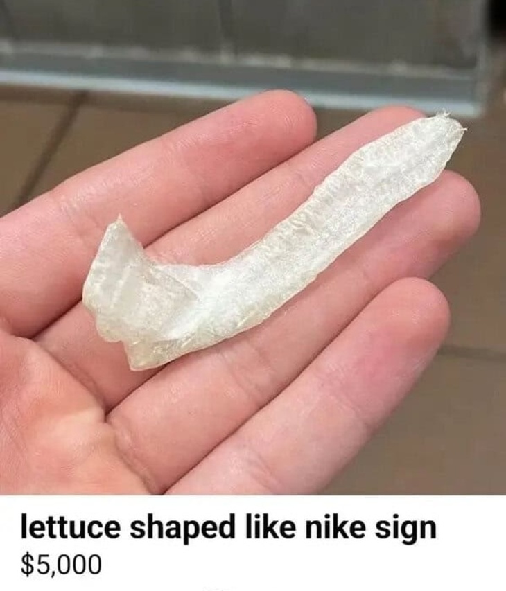 Web's Wackiest Online Sales 