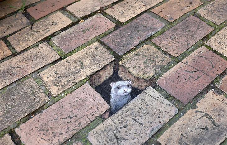 David Zinn's chalk drawing