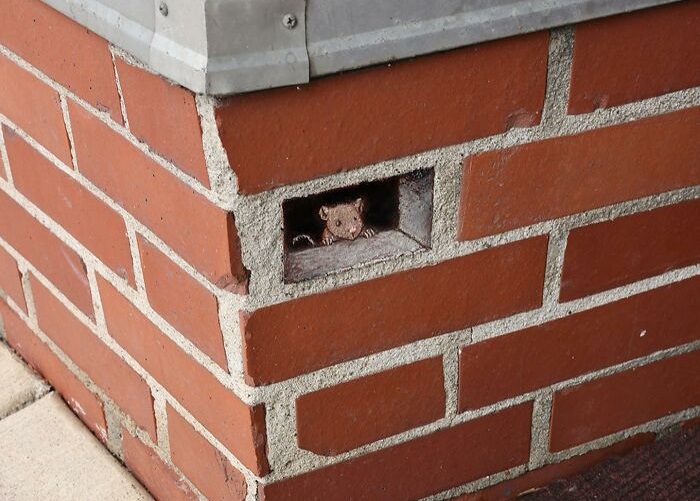 David Zinn's chalk drawing