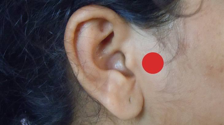 Pressure point for controlling hunger in the ear