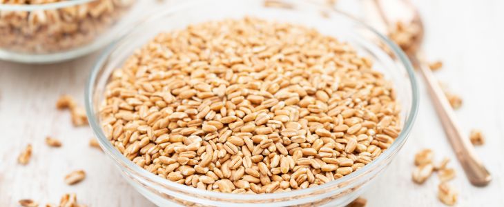 Low-carb grains: Spelt