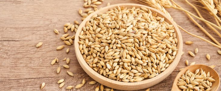 Low-carb grains: Barley