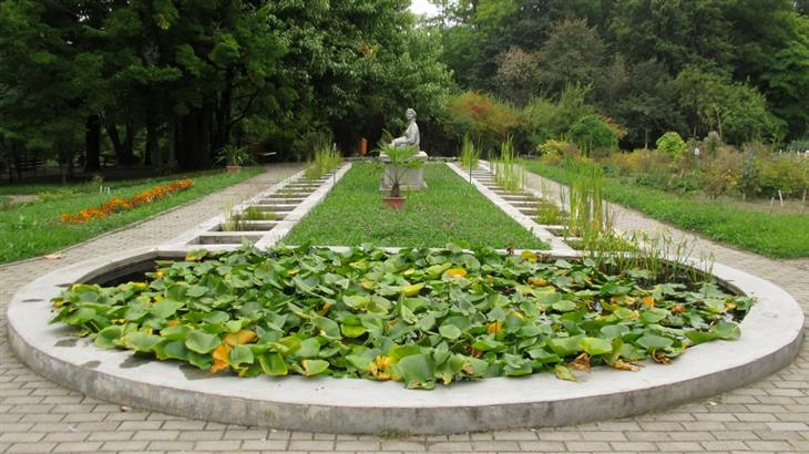 Sites and attractions in Cluj-Napoca: Statue in the Botanical Garden