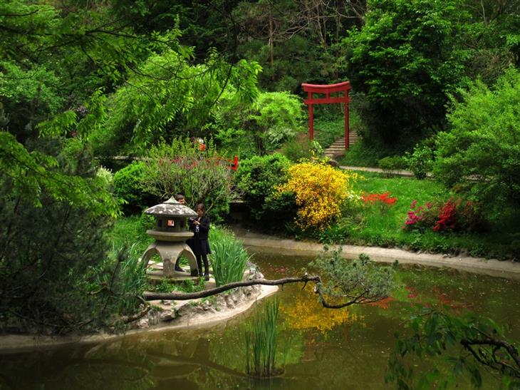 Sites and attractions in Cluj-Napoca: Japanese garden in the Botanical Garden