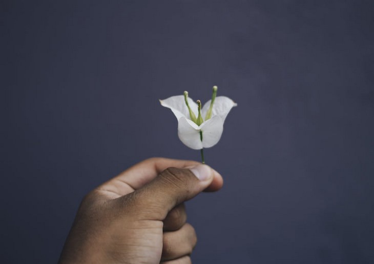 How to resolve arguments? Hand holding a small flower