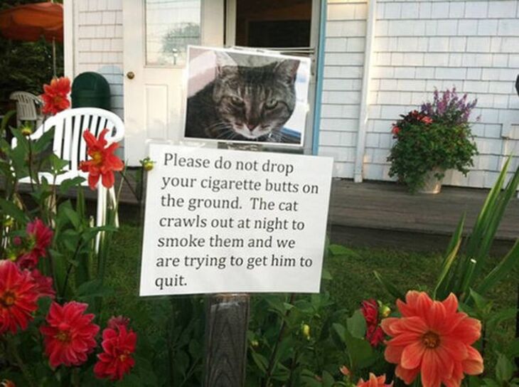 Hilarious Yards Signs 