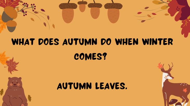 Fall Puns and Jokes