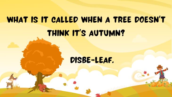 Fall Puns and Jokes