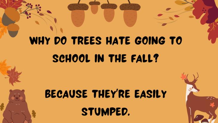 Fall Puns and Jokes