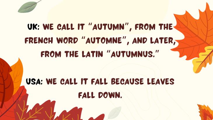 Fall Puns and Jokes