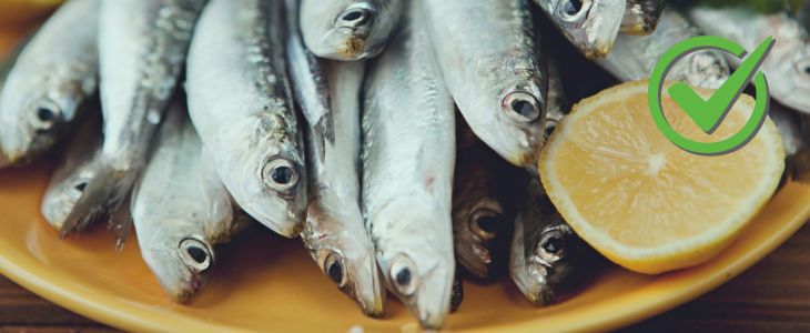 Recommended foods with high cholesterol and those to avoid: Sardines are recommended