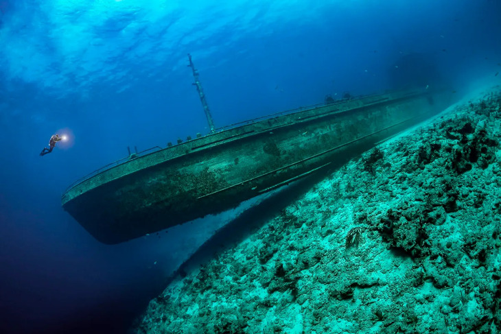 Ocean Photographer of the Year 2024