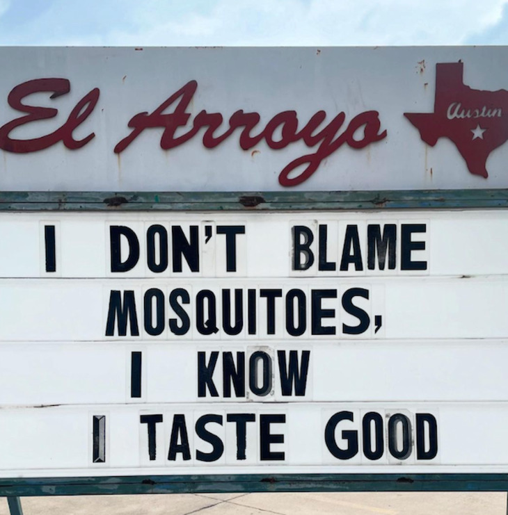 El Arroyo signs