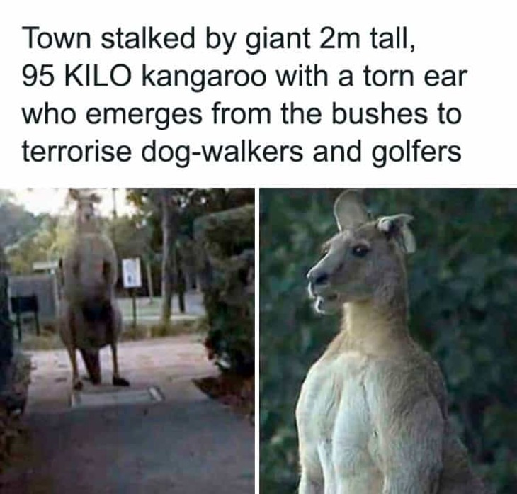 Only in Australia