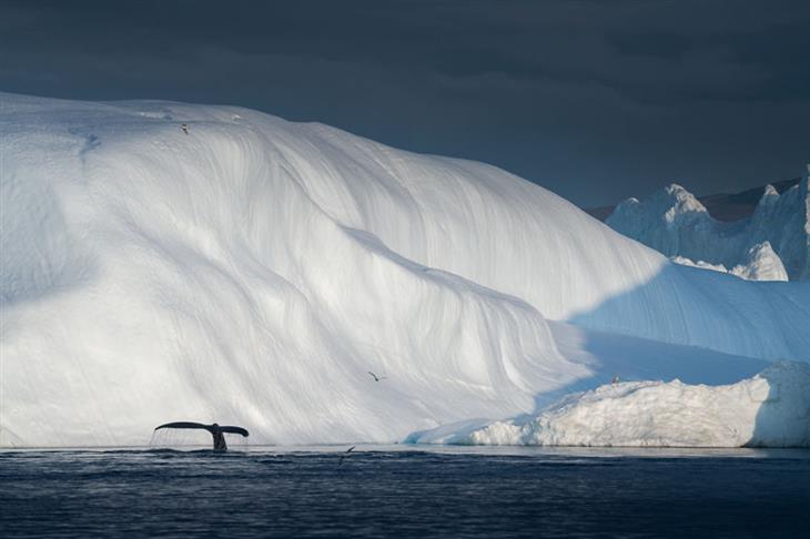 Pictures from Greenland: