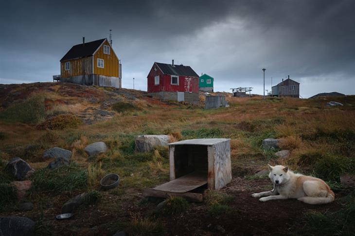 Pictures from Greenland: