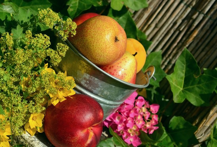 Fruits in a bowl