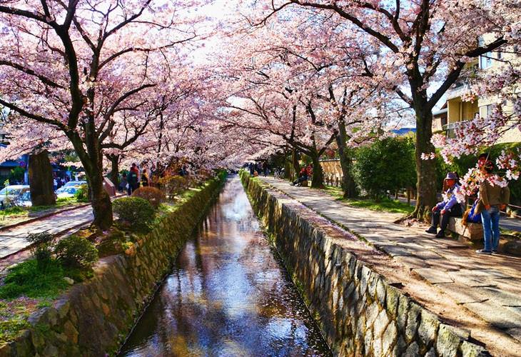 Attractions in Kyoto: Philosopher's Walk