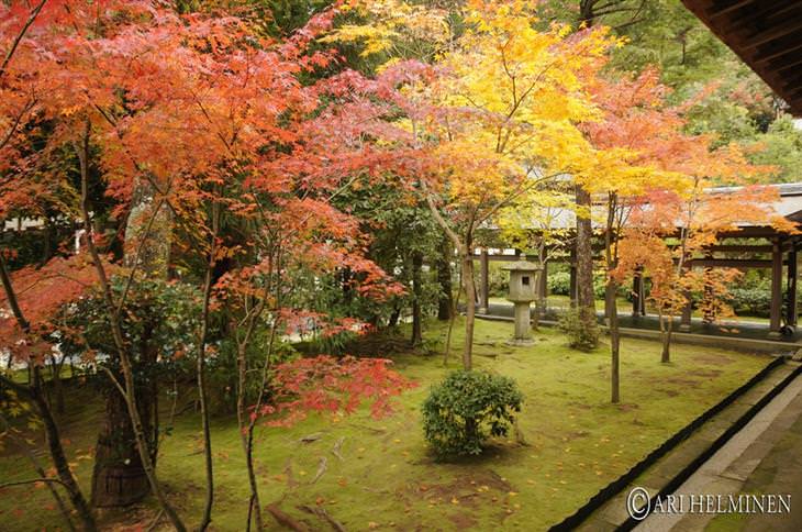 Attractions in Kyoto: Ryoanji Temple